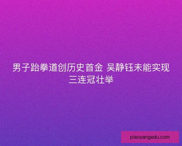 男子跆拳道创历史首金 吴静钰未能实现三连冠壮举
